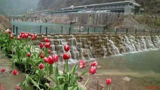 儿童算术题
